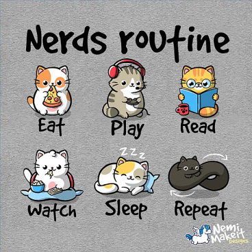 Nerds routine