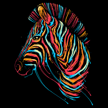 Colorful Zebra