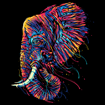 Colorful Elephant